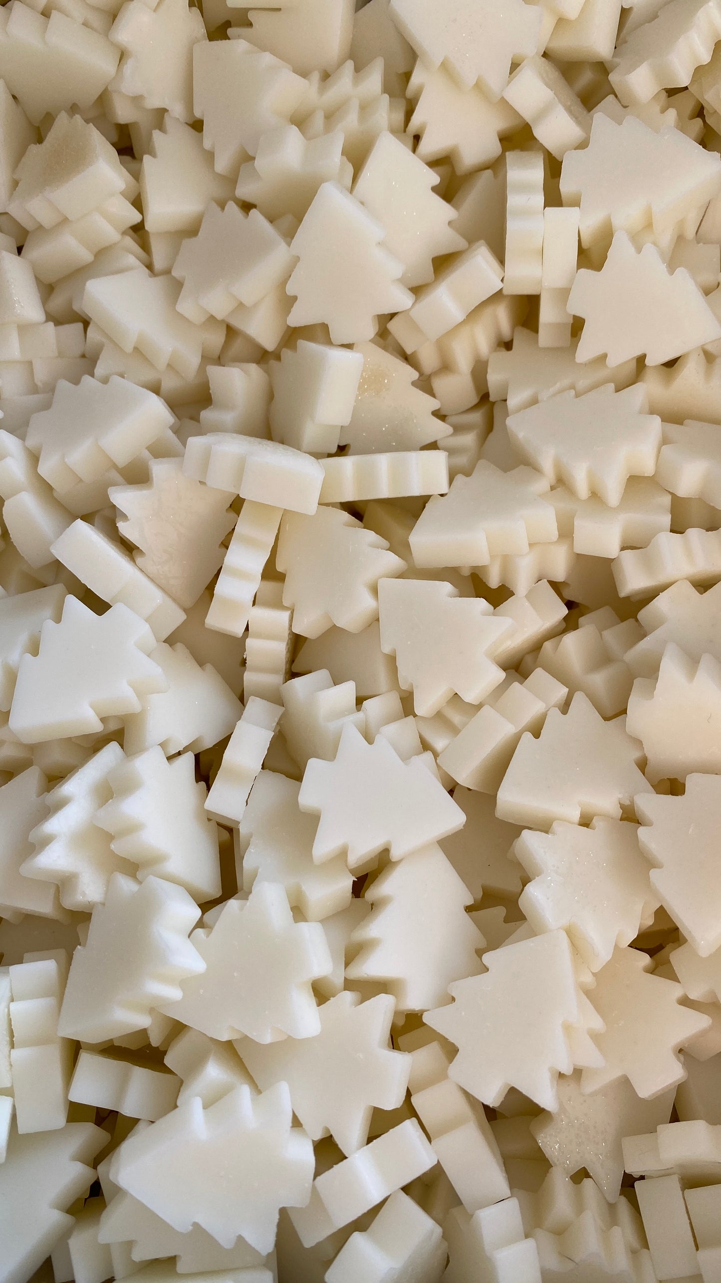 Wax Melts CHRISTMAS (70g)