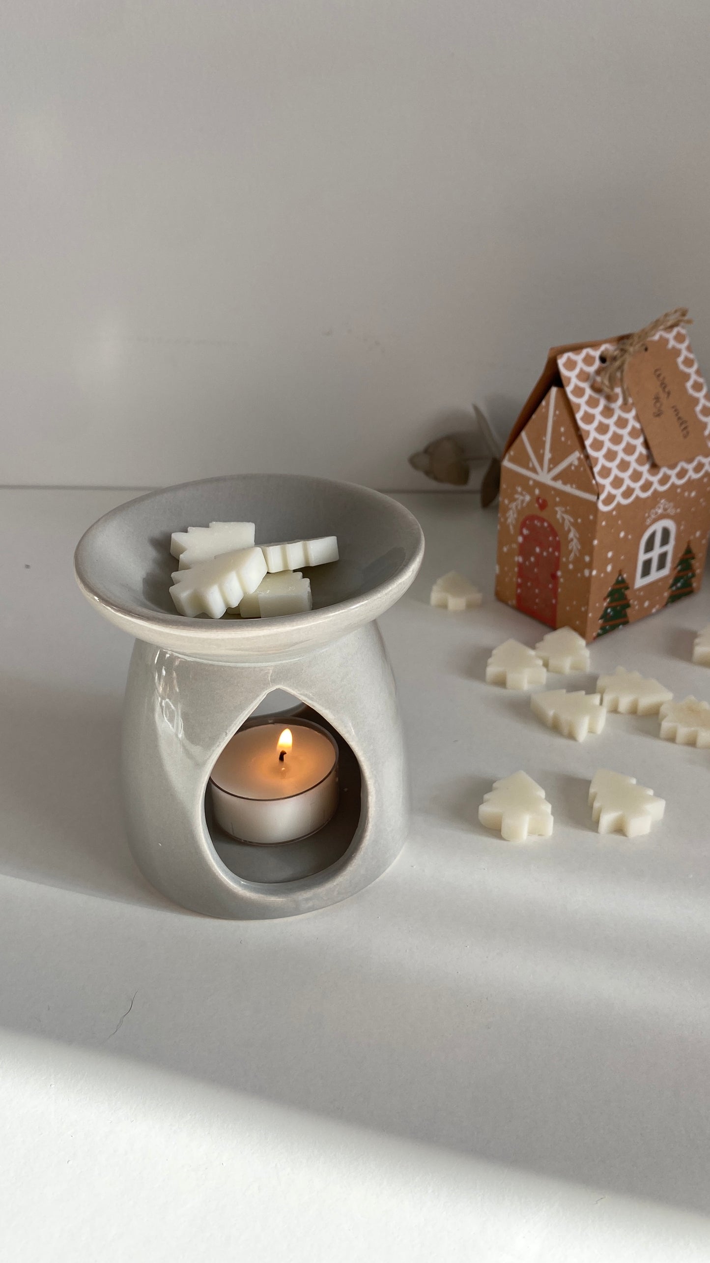 Wax Melts CHRISTMAS (70g)