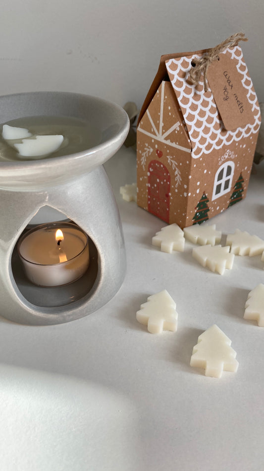 Wax Melts CHRISTMAS (70g)
